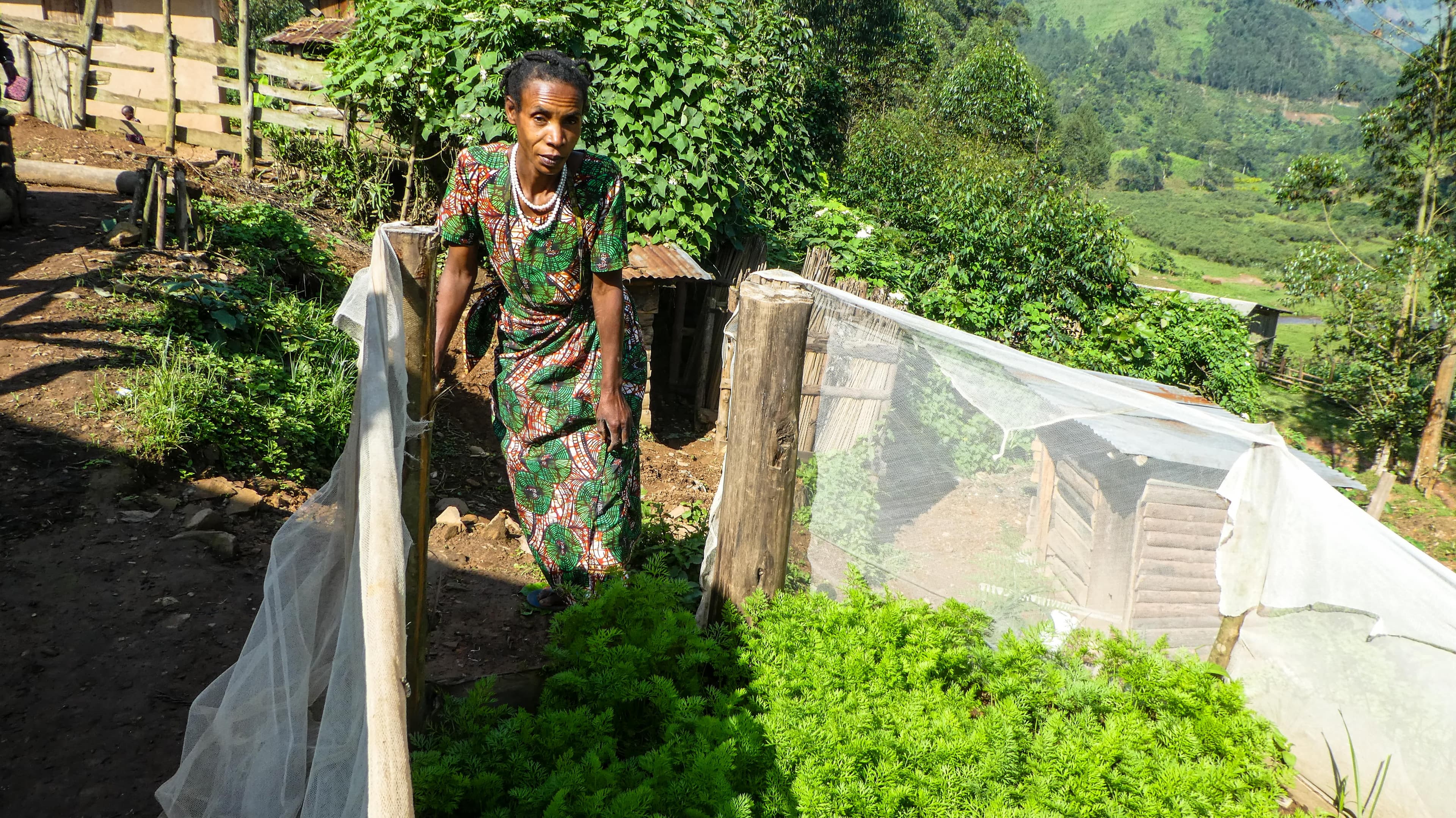 children at a  vegetable garden