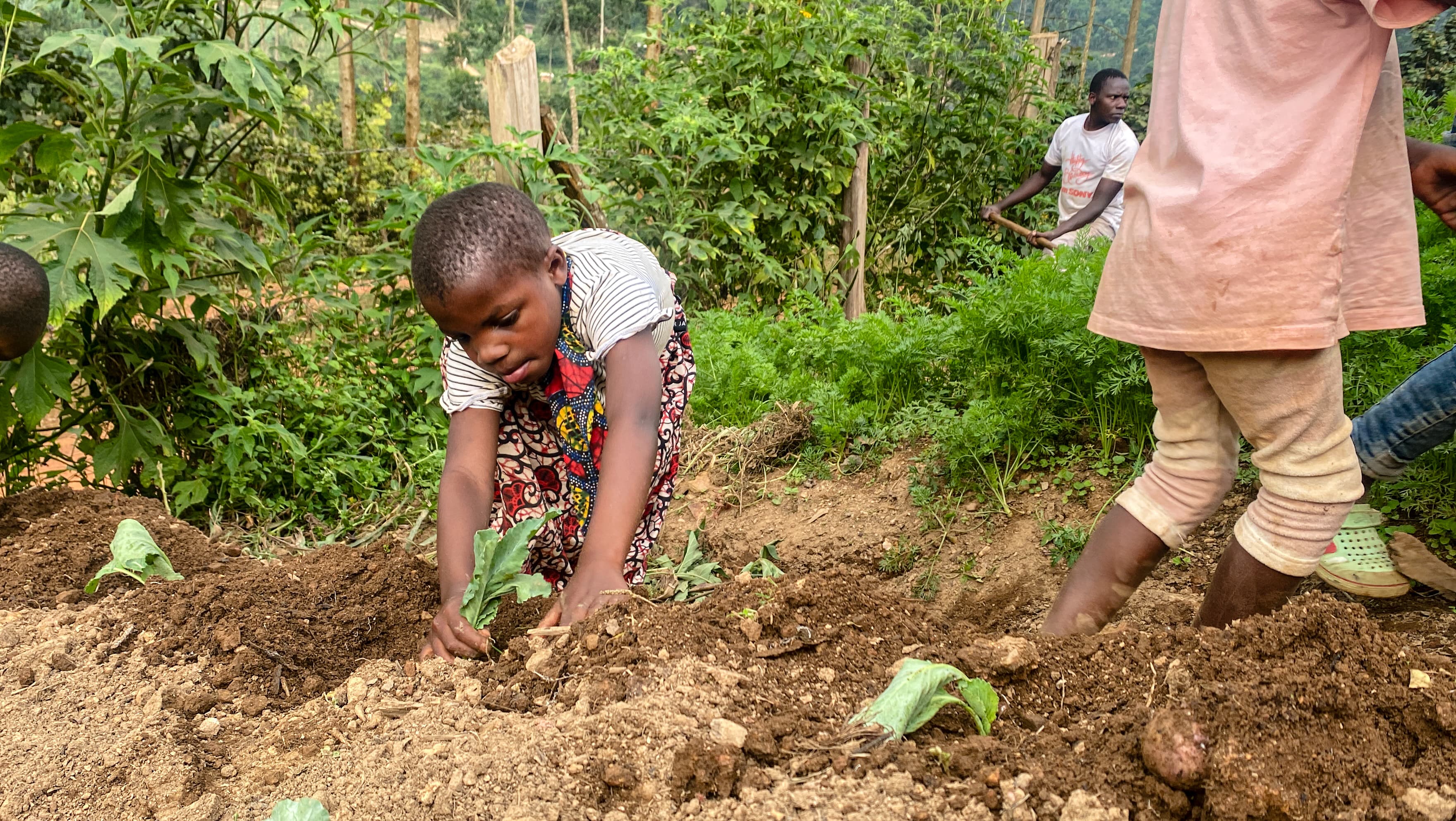 children planting vegetables