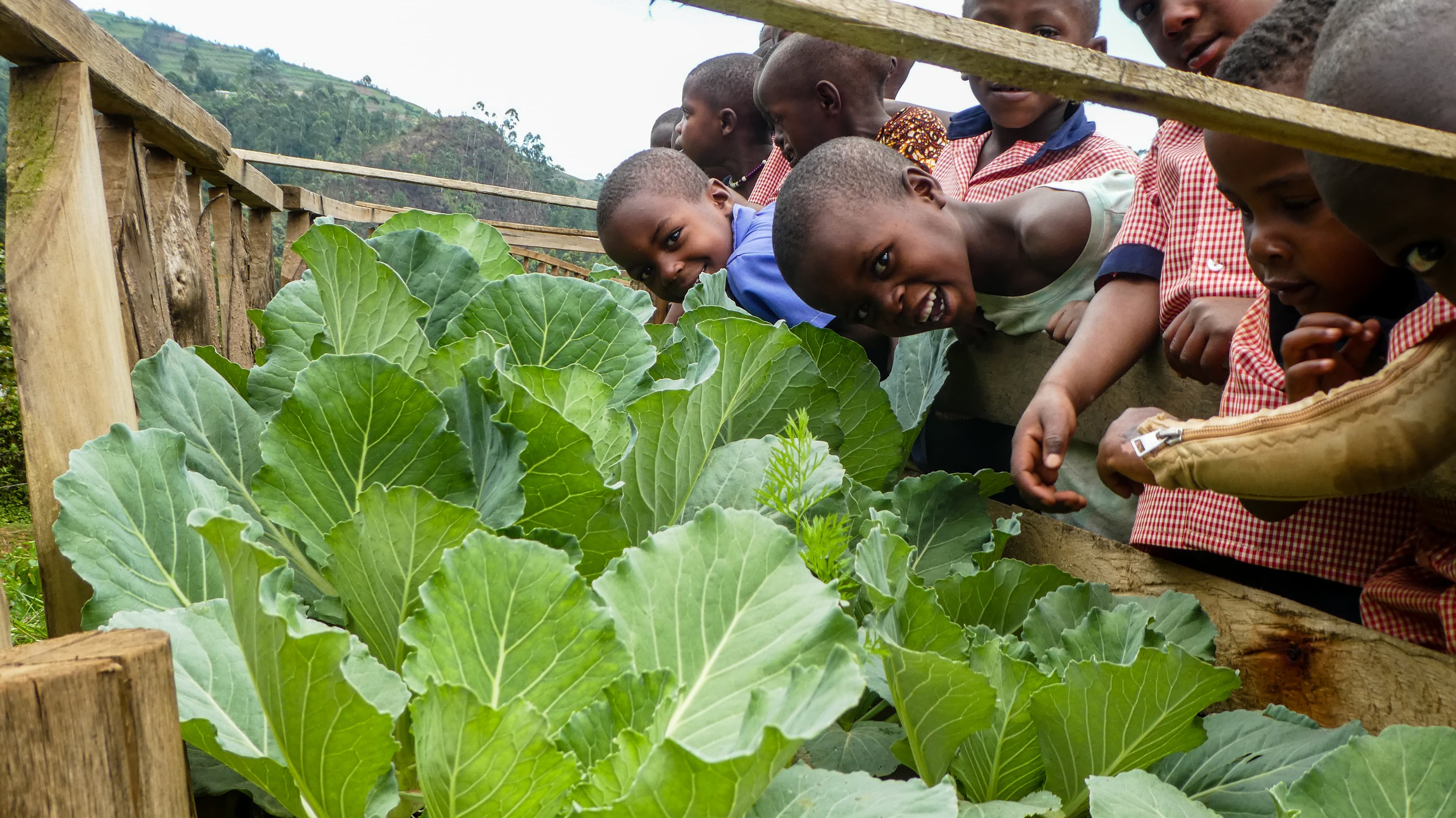 children at a vegetable garden