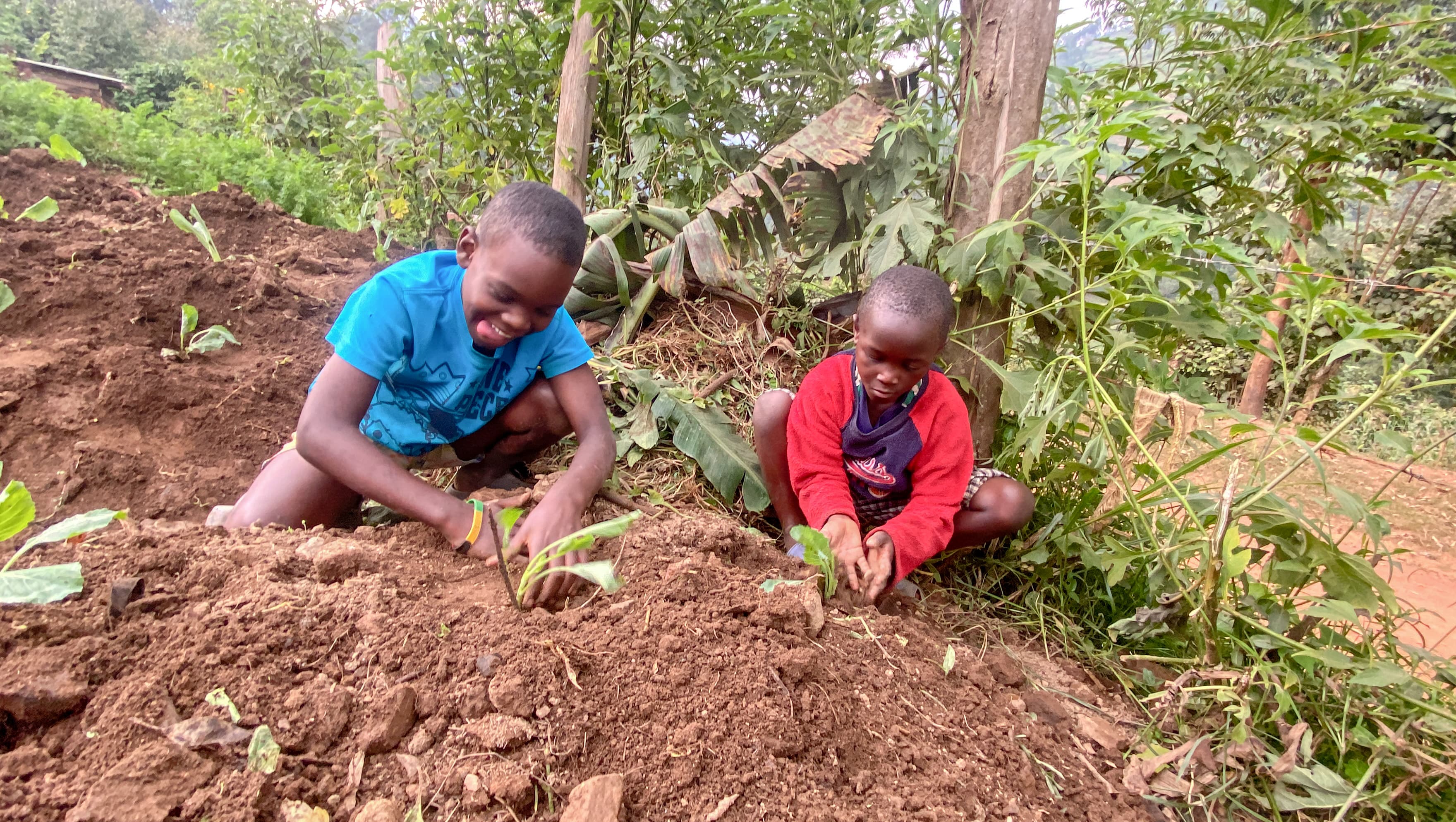 children participate in tree planting